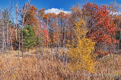 Autumn Landscape_24188.jpg - Photographed near Perth, Ontario, Canada.
